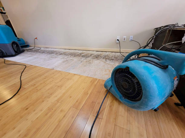 Professional Structural Drying technician working in Rutland, OH